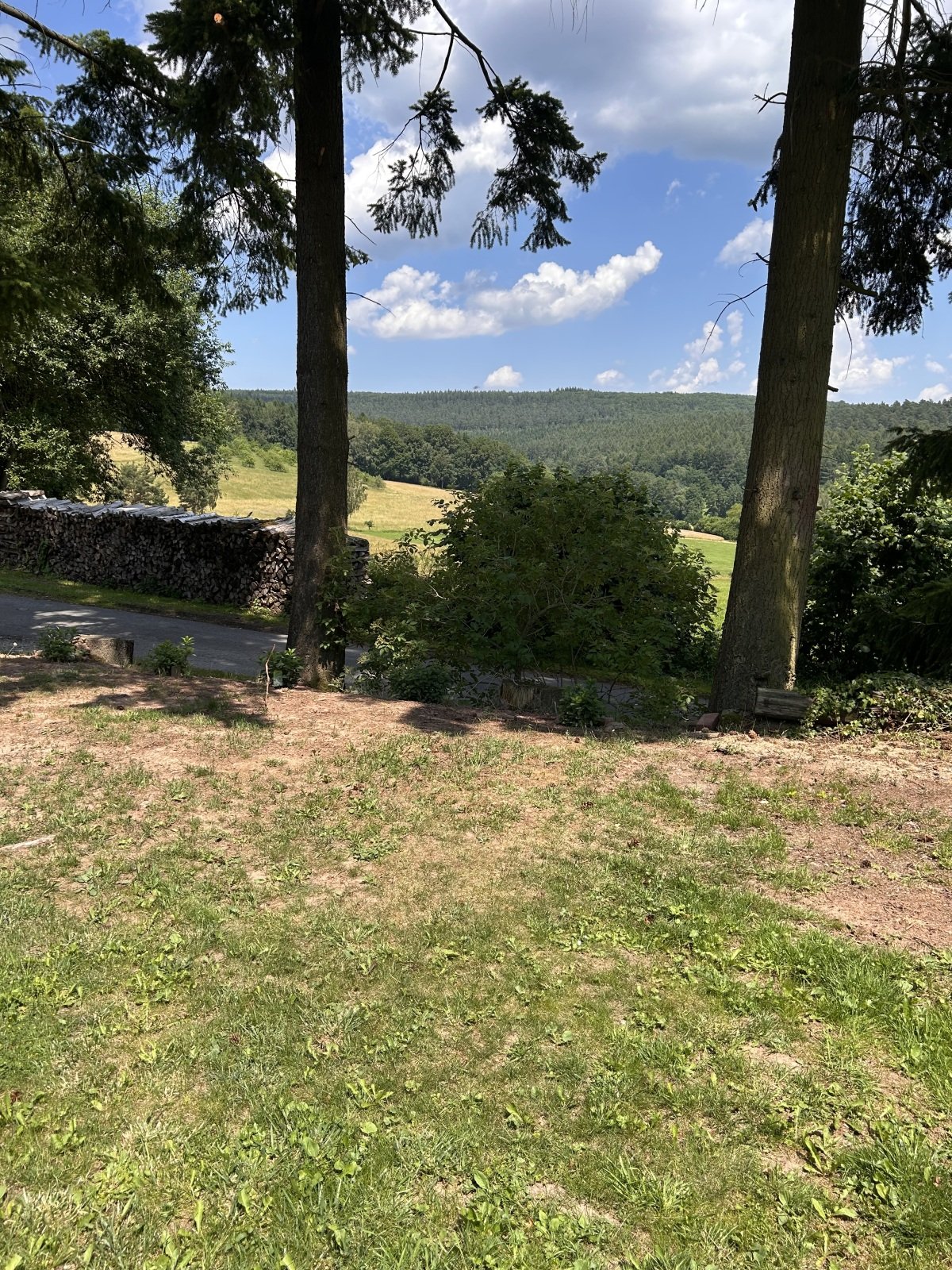 IMG_6300.jpeg