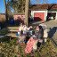Stephan