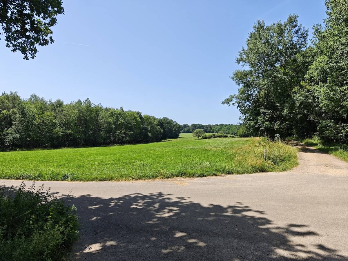 Landschaft 