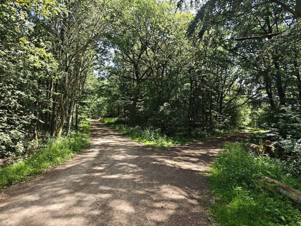 Wald