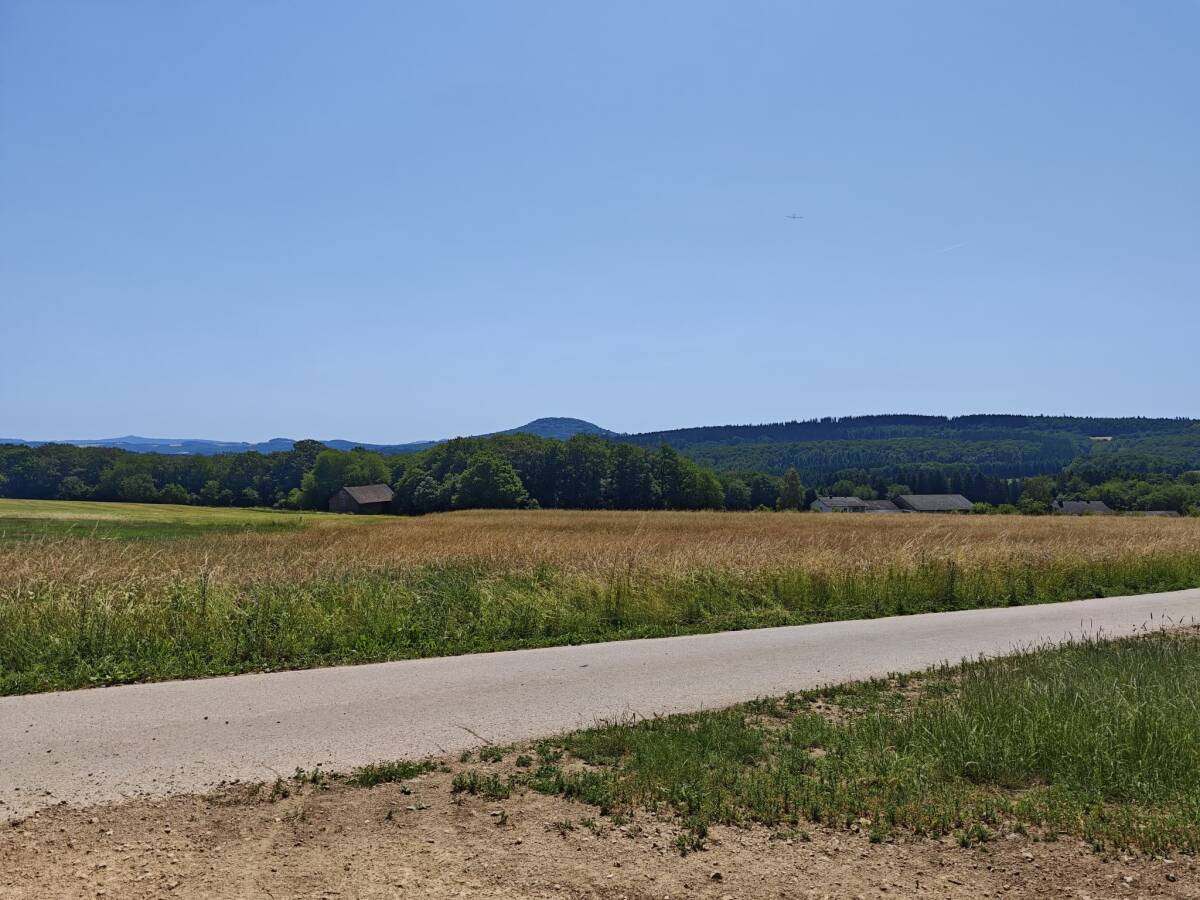 Ausblick