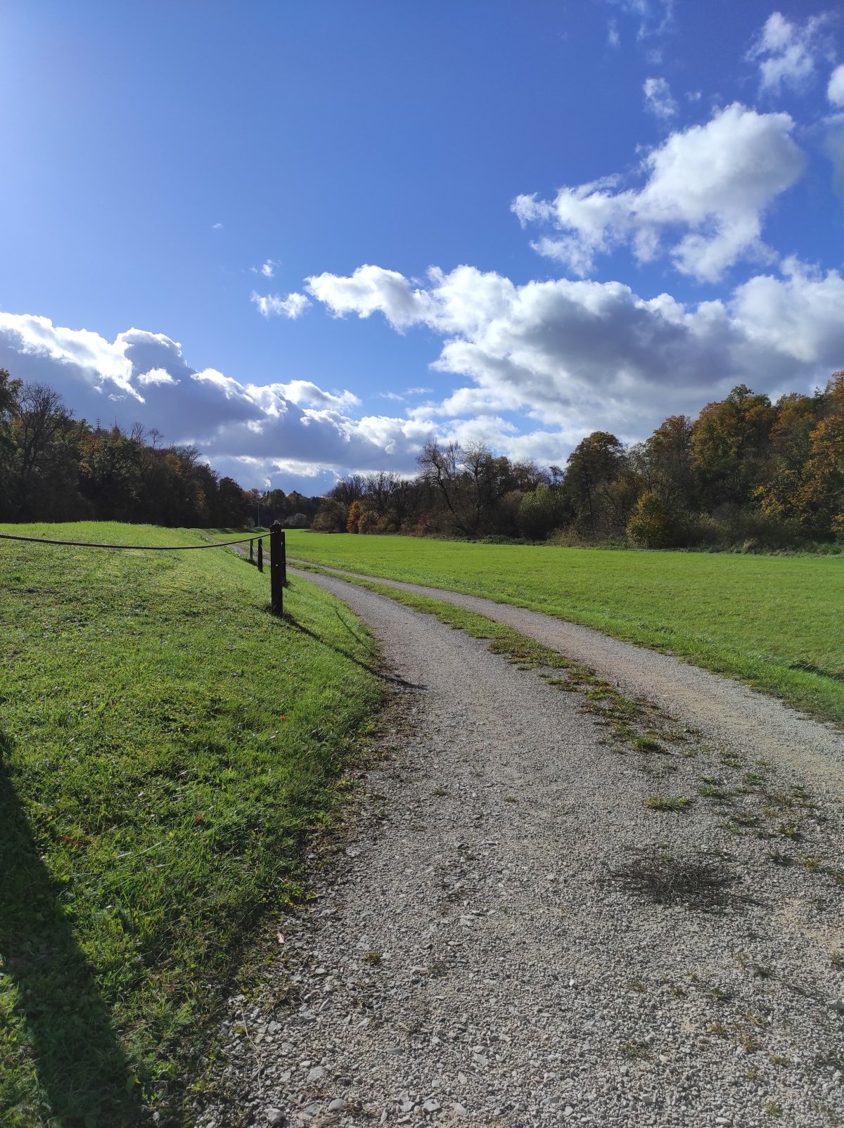 IMG_20251024_144002.jpg