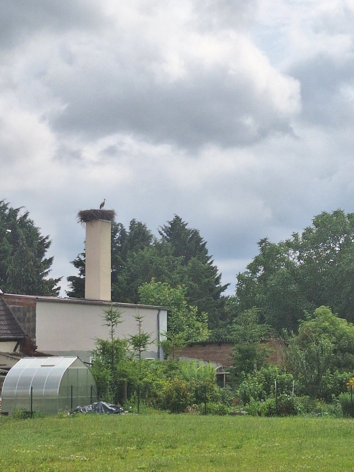 20260701_133833.jpg
