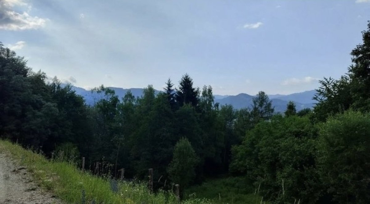 neu1