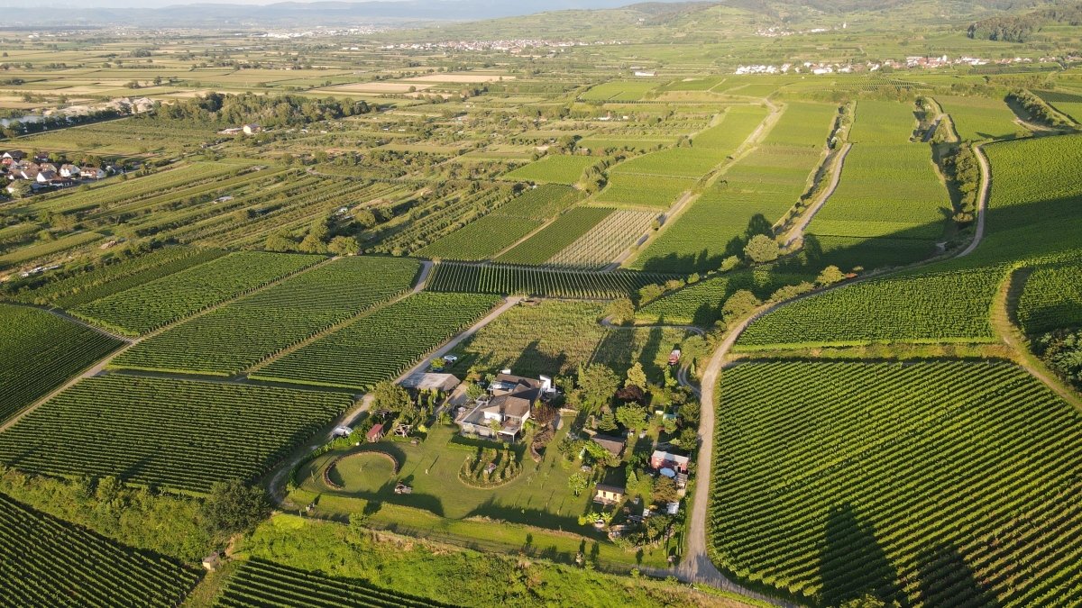 dji_fly_20240809_195452_450_1723226160598_photo.jpeg