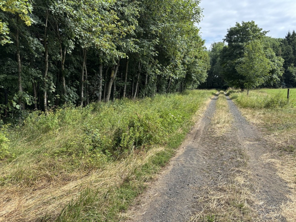 IMG_5599.jpeg