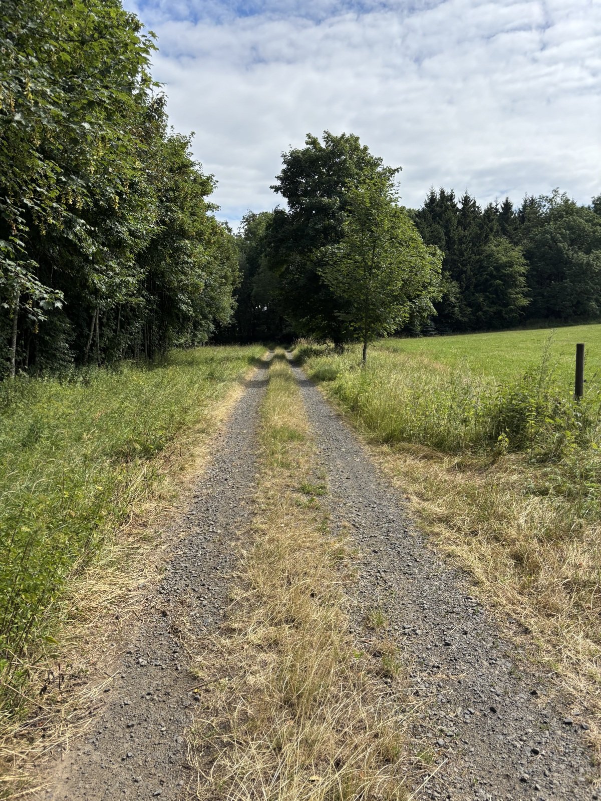 IMG_5602.jpeg