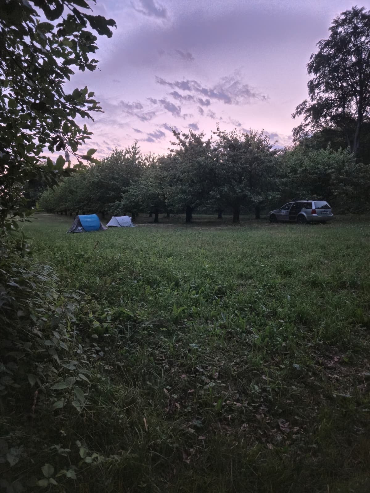 Abenddämmerung (1).jpeg