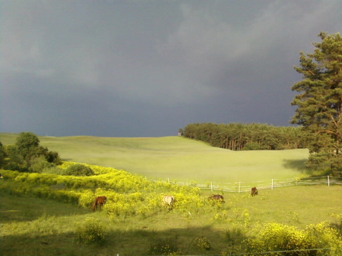 Feld Gewitter.jpg