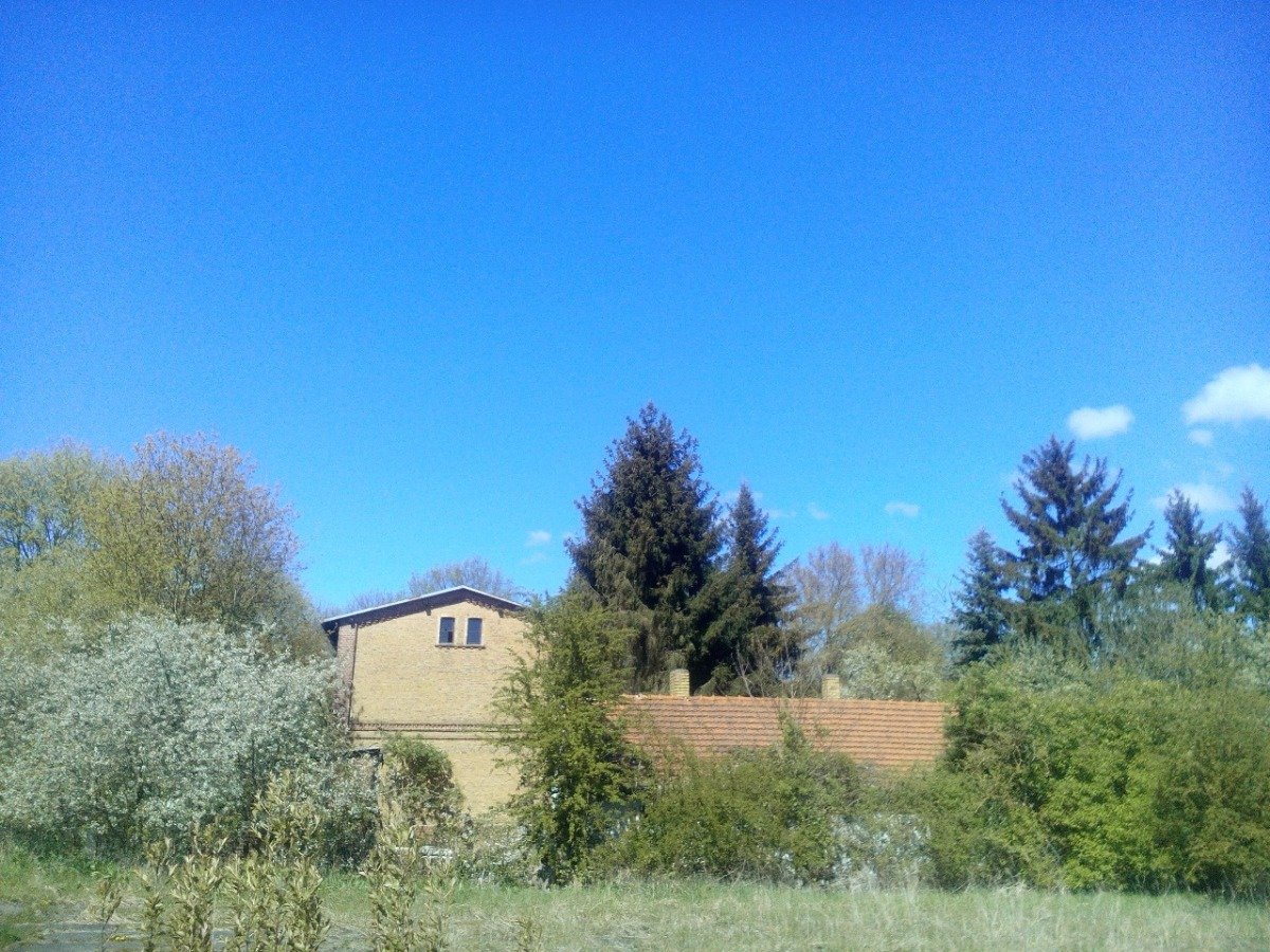 Nest Gebäude Frühling.jpg