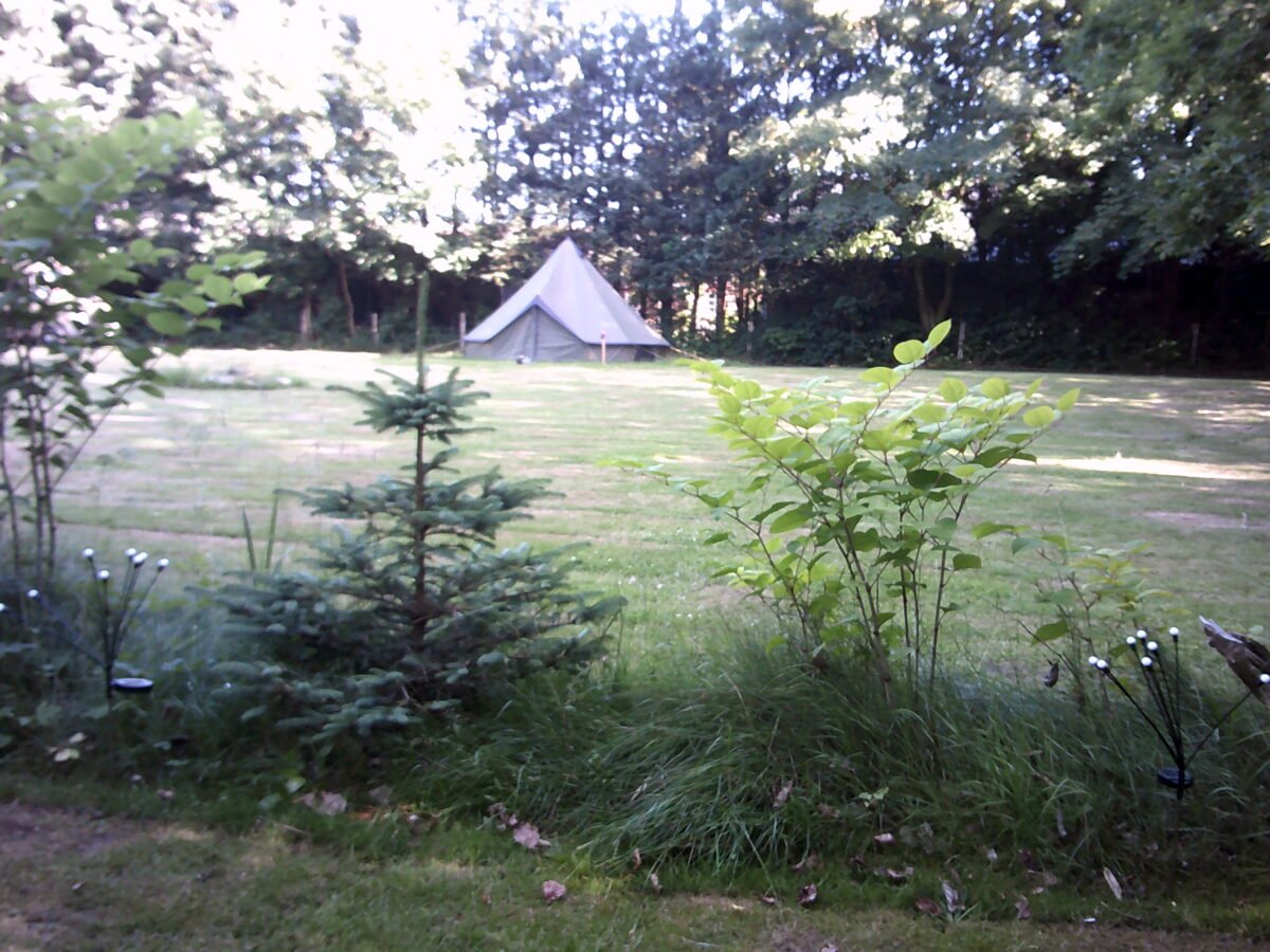 DSCF0001.JPG