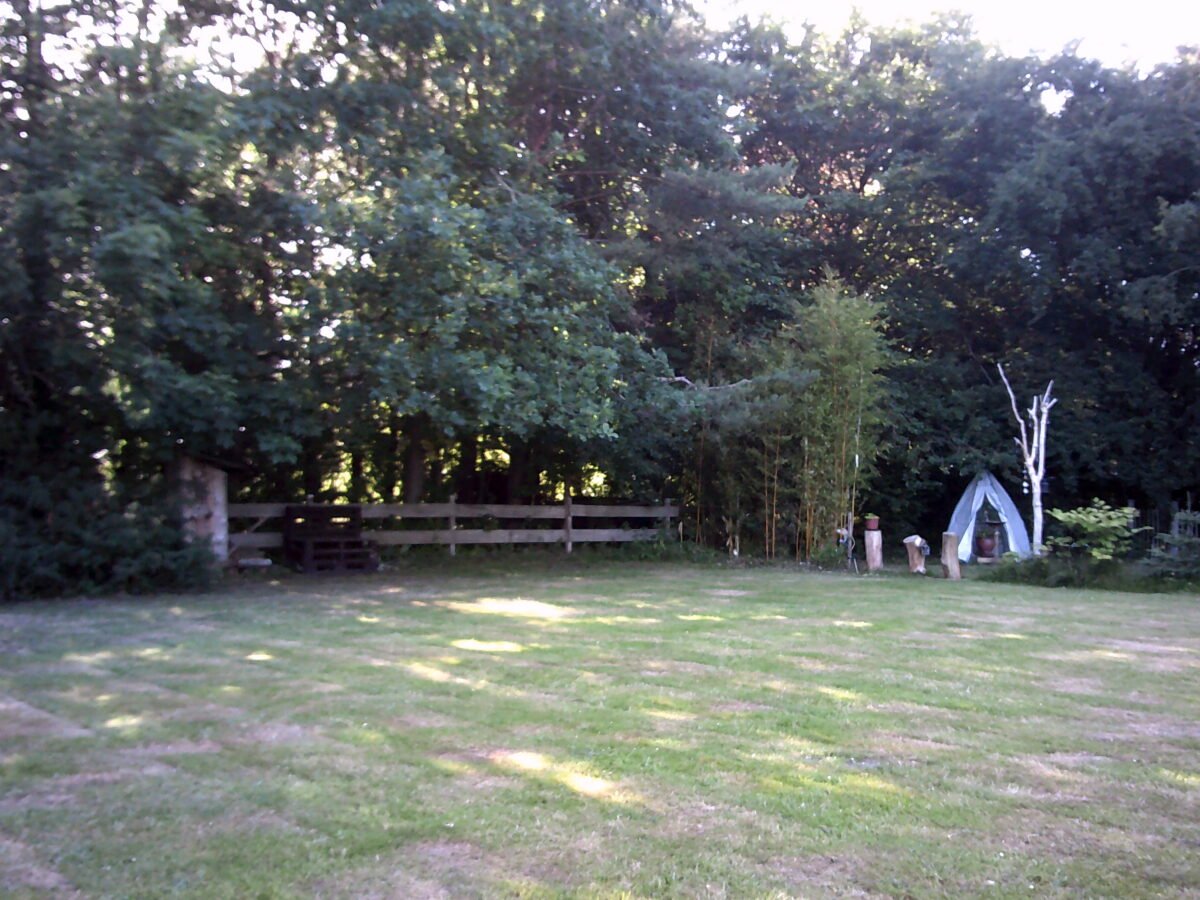 DSCF0004.JPG