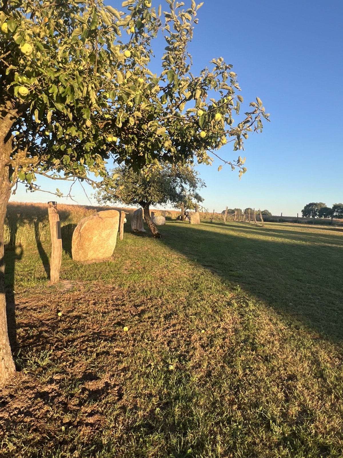 IMG_2062.jpeg
