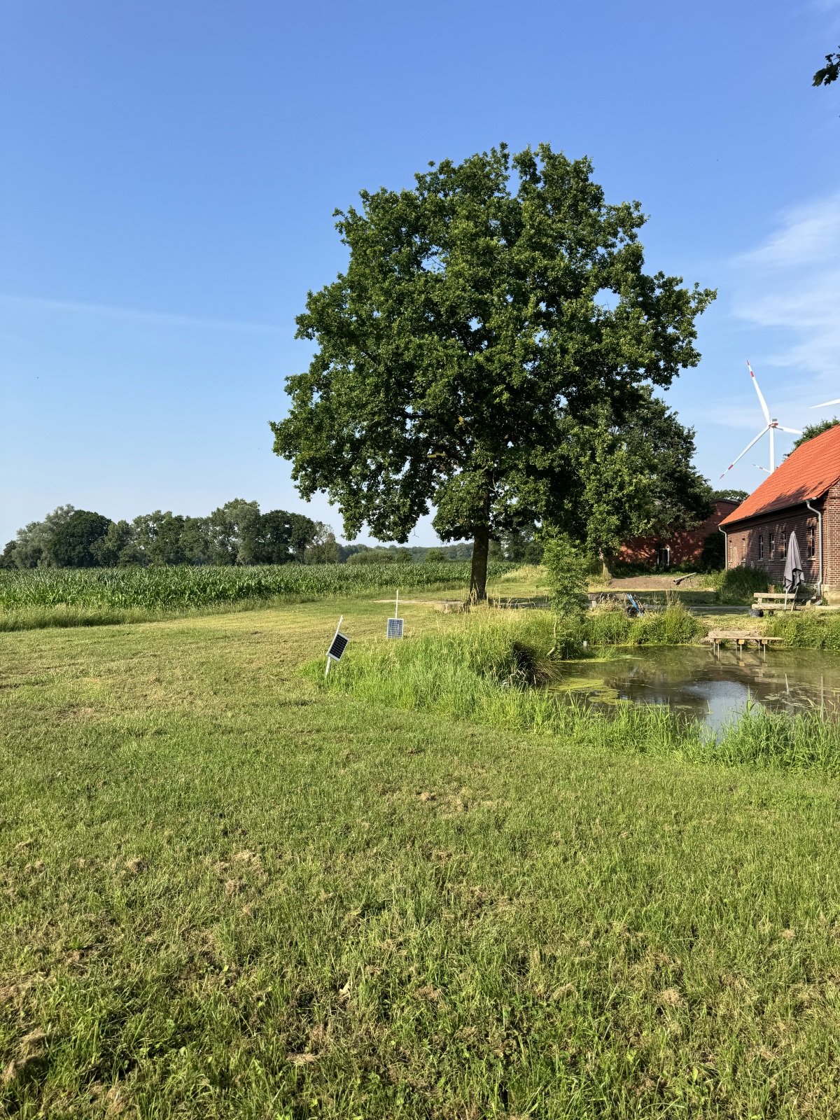 IMG_6890.jpeg