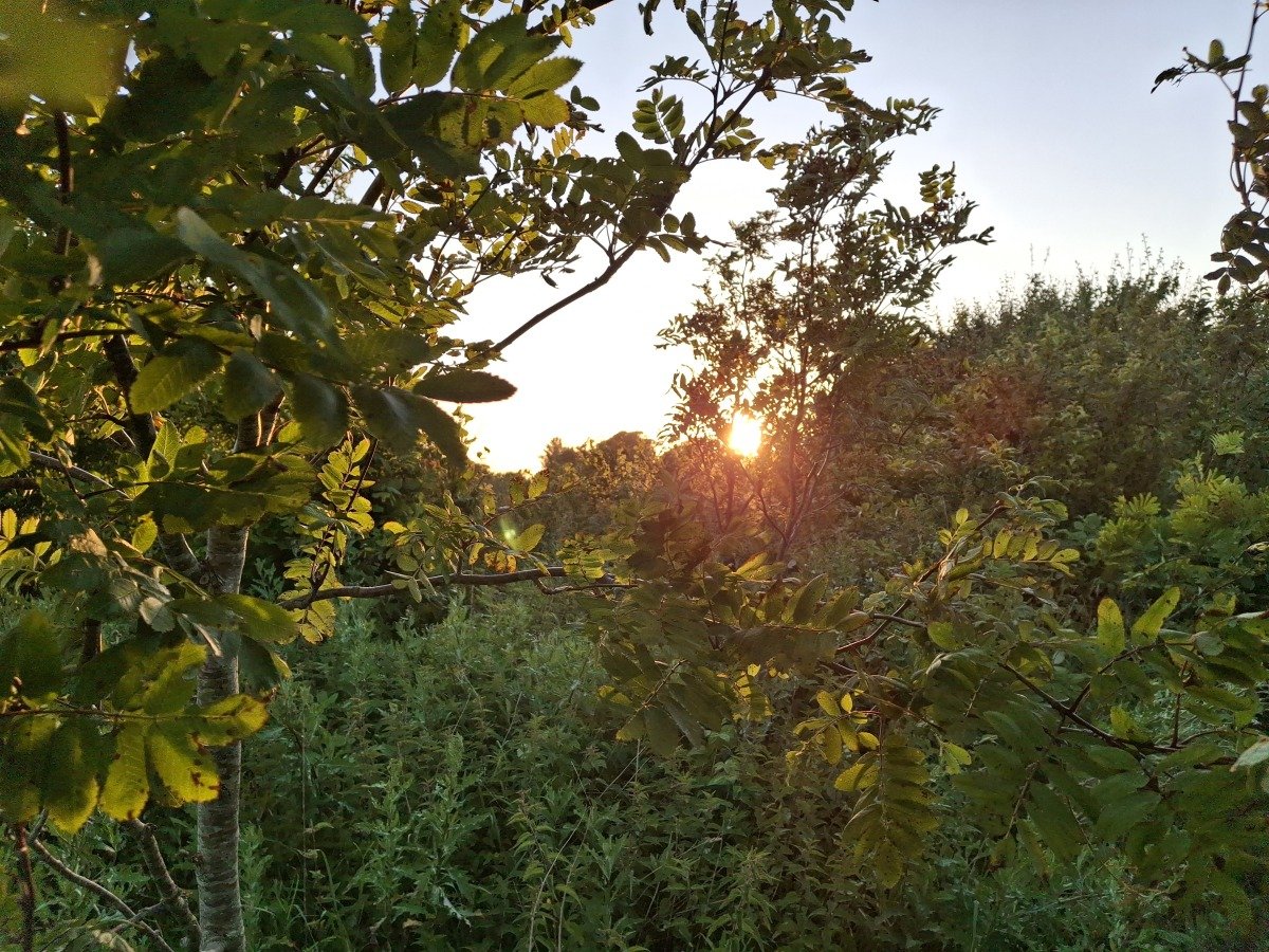 20260707_213857.jpg