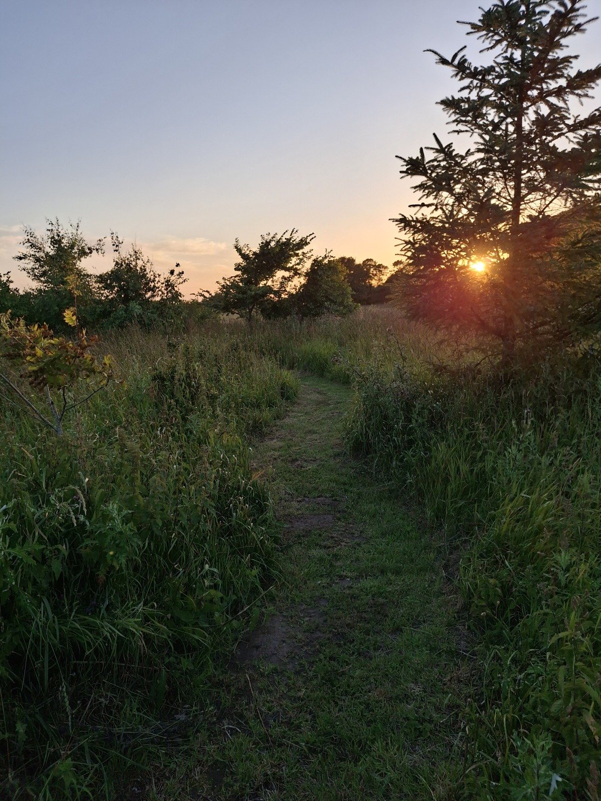 20260707_214244.jpg