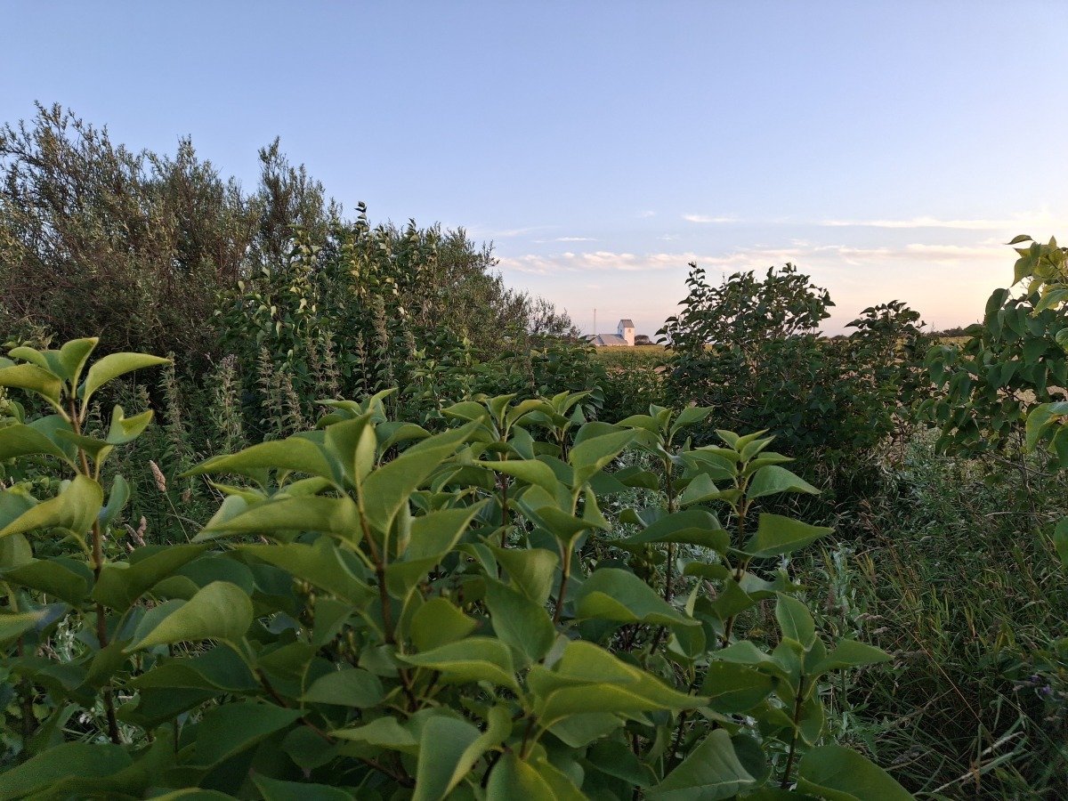 20260707_214324.jpg