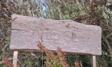 Arup Skov (Wäldchen von Arup)