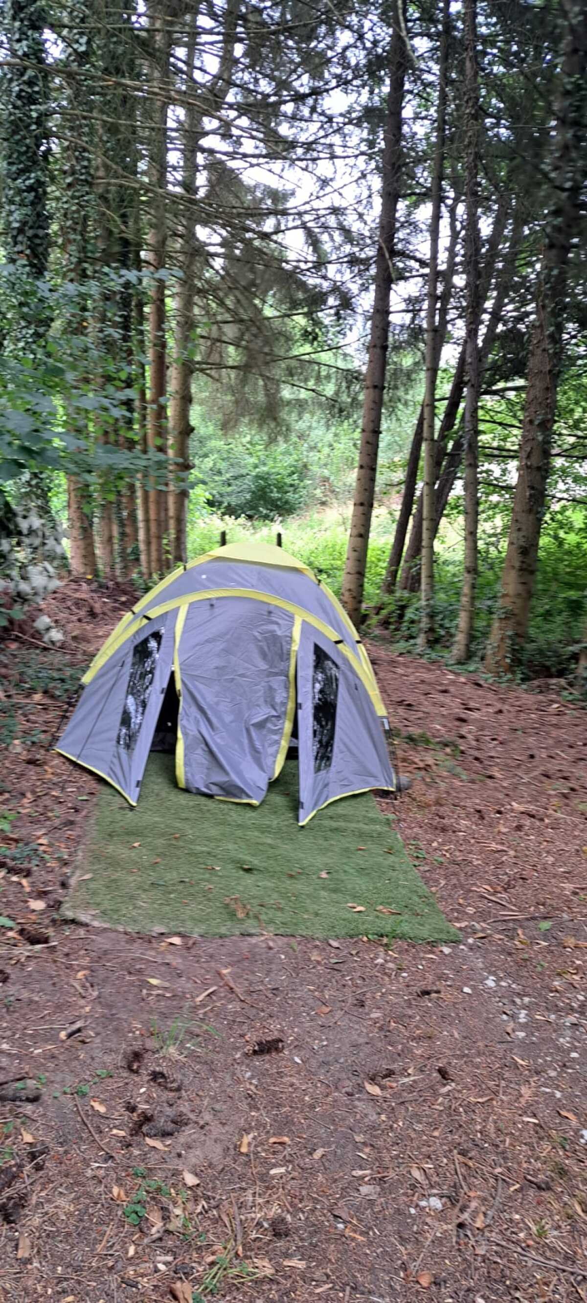 Zeltplattform 1