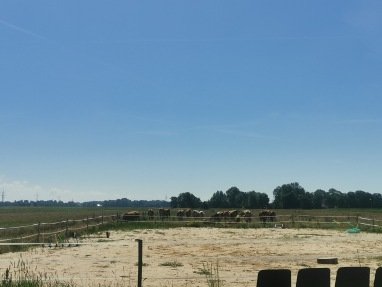 Ausblick 