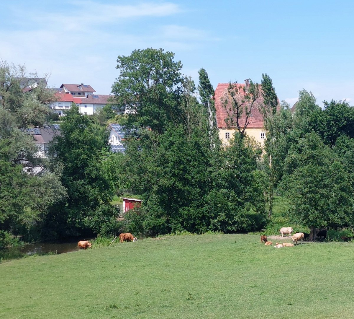 Aussicht vom Platz am Kirschbaum auf das Schloss