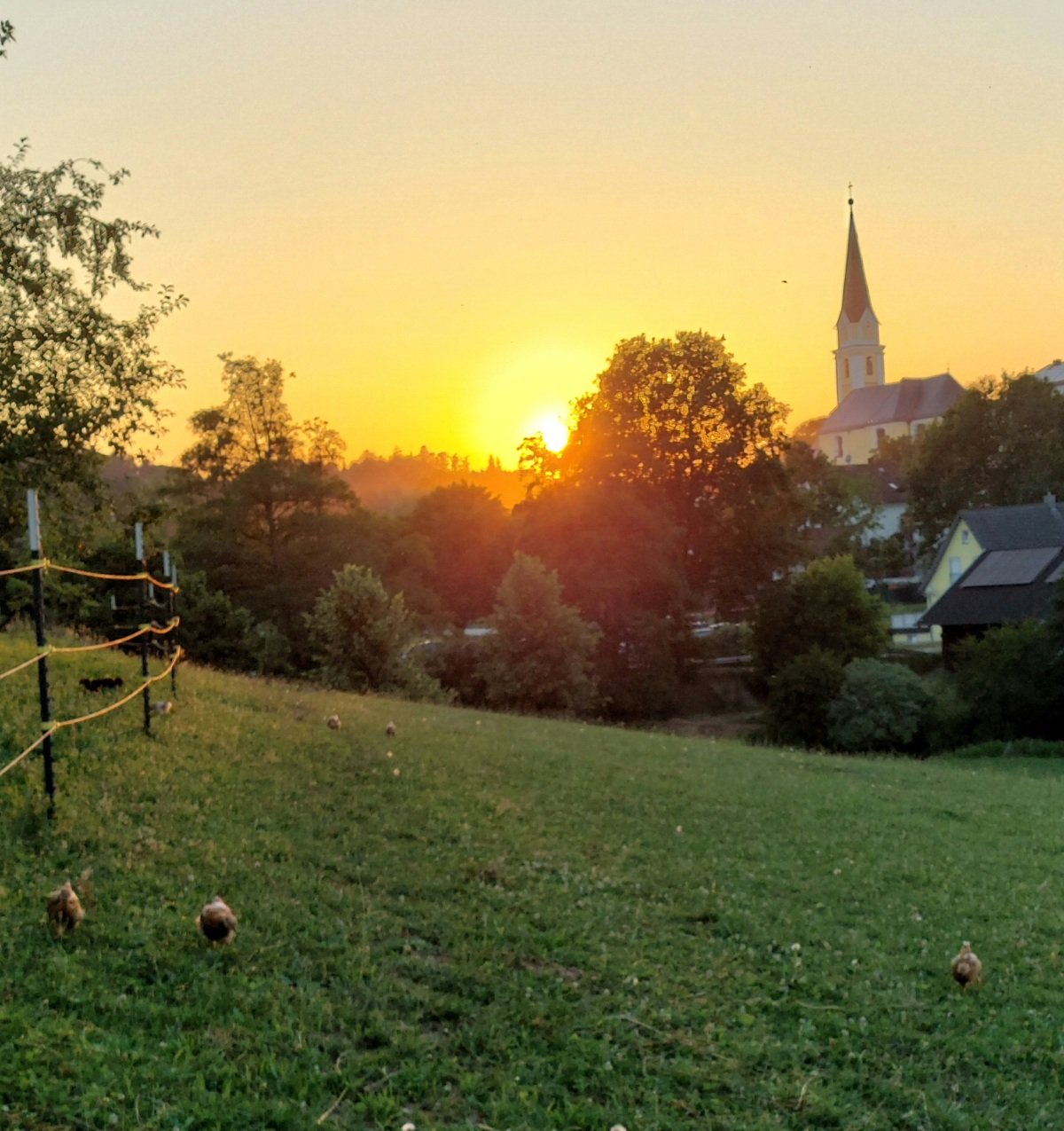 Blick auf die Kirche bei Sonnenuntergang 