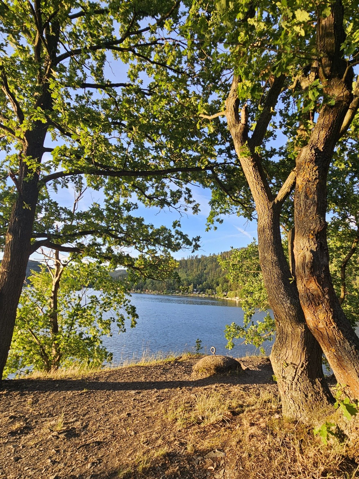20260708_203300.jpg