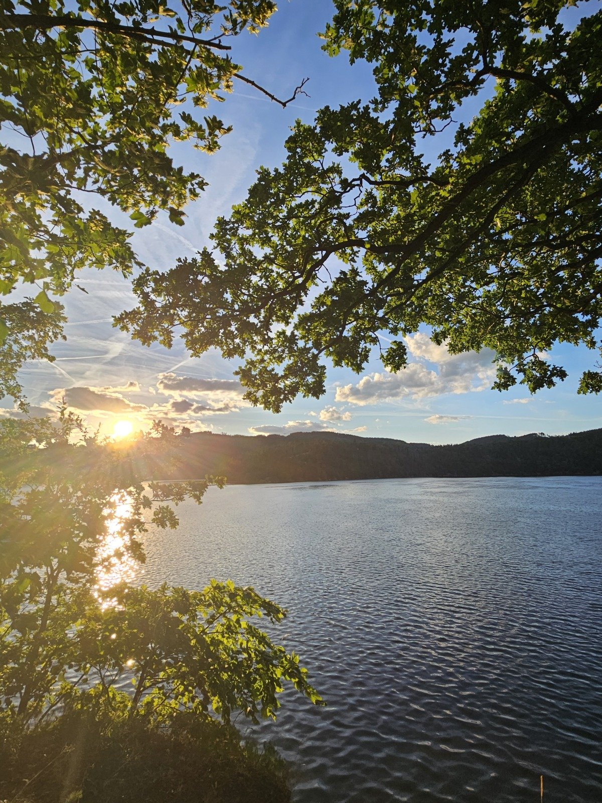 20260708_203711.jpg