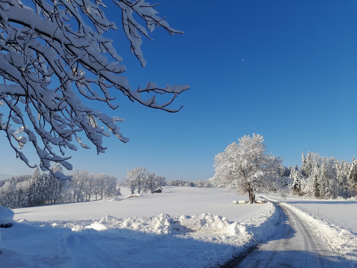 Winter