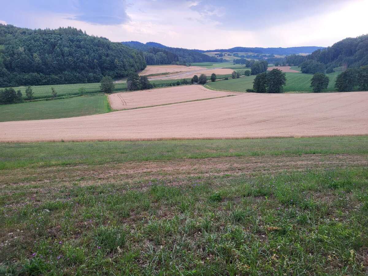 Talblick 2.jpeg