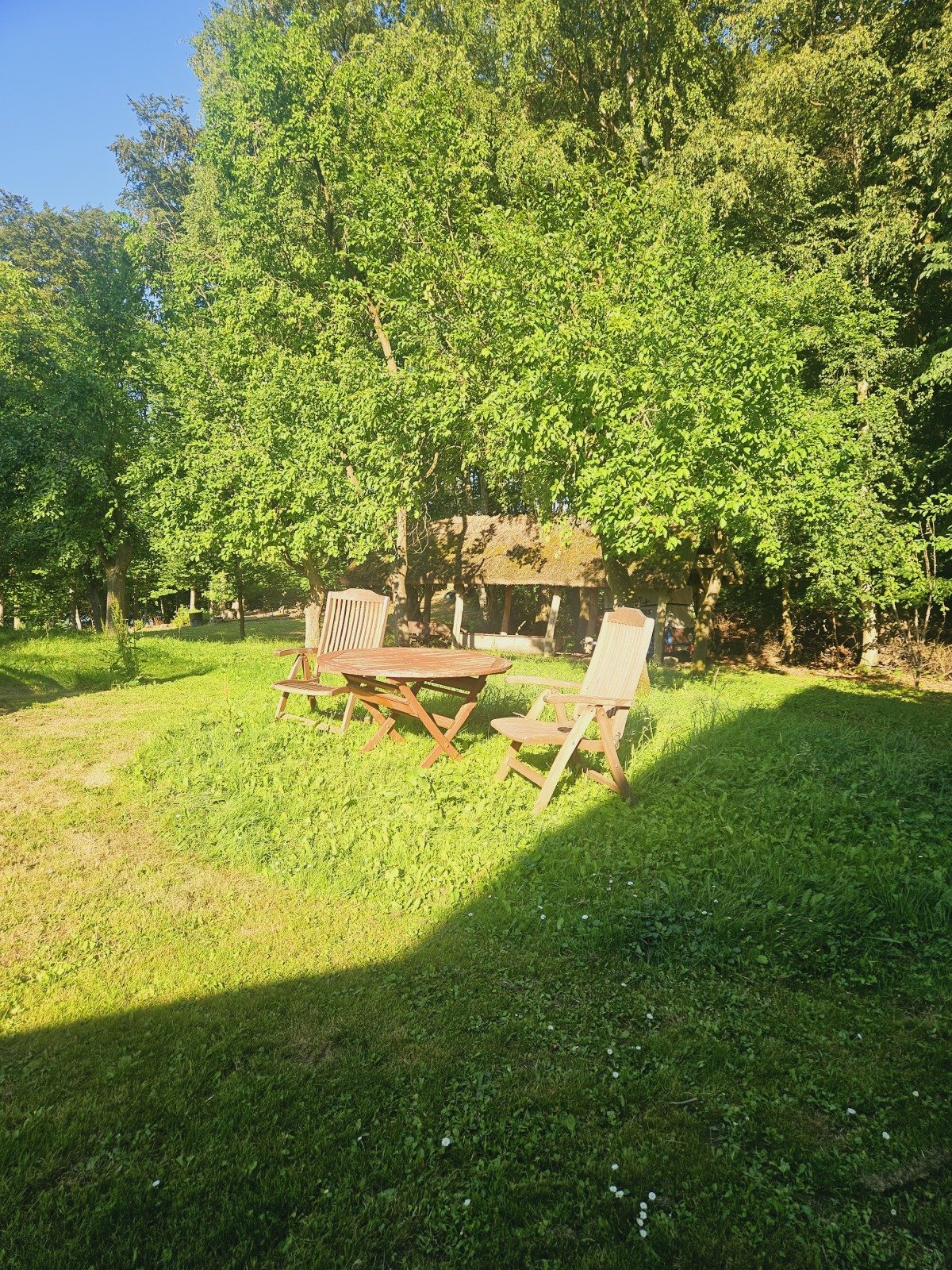20260712_181321.jpg
