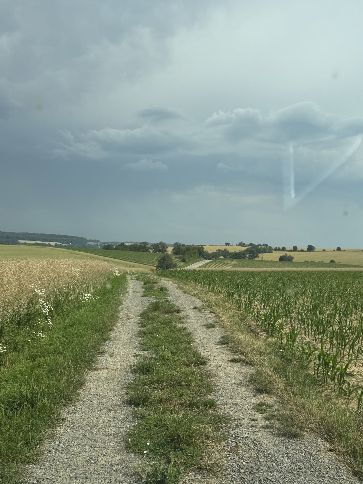 IMG_2276.jpeg