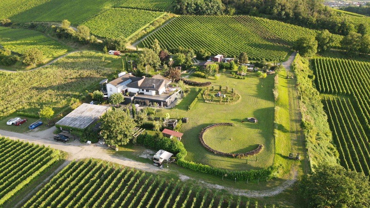 dji_fly_20240809_195220_442_1723225950392_photo
