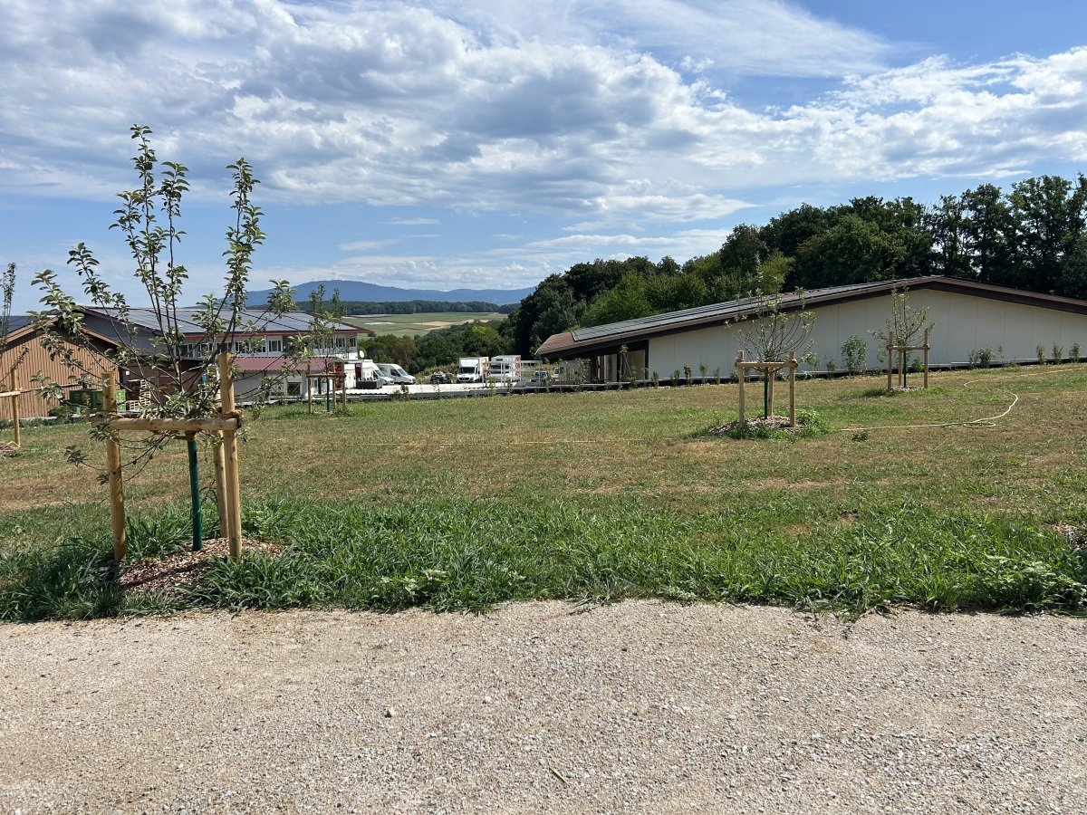 IMG_4911.jpeg