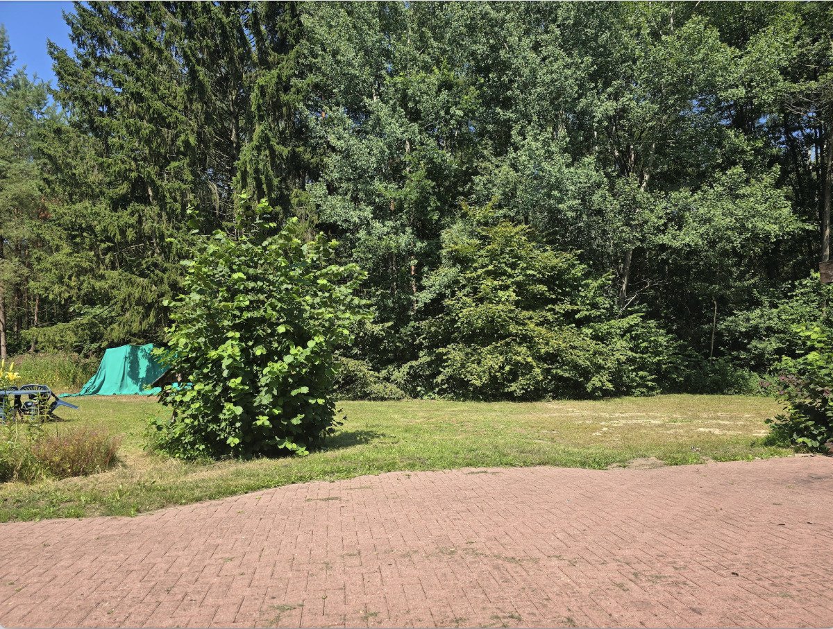 Bildschirmfoto 2026-07-17 um 12.51.51
