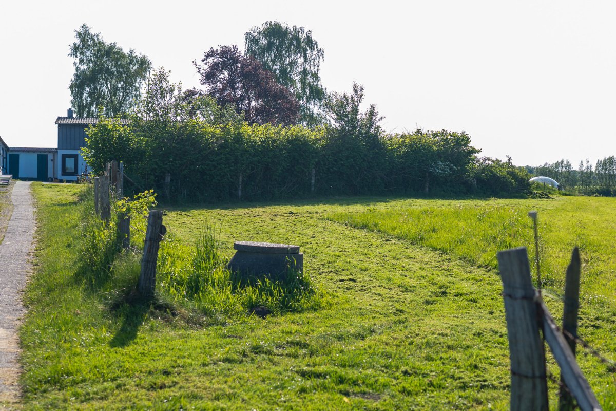 DSC06846.jpeg