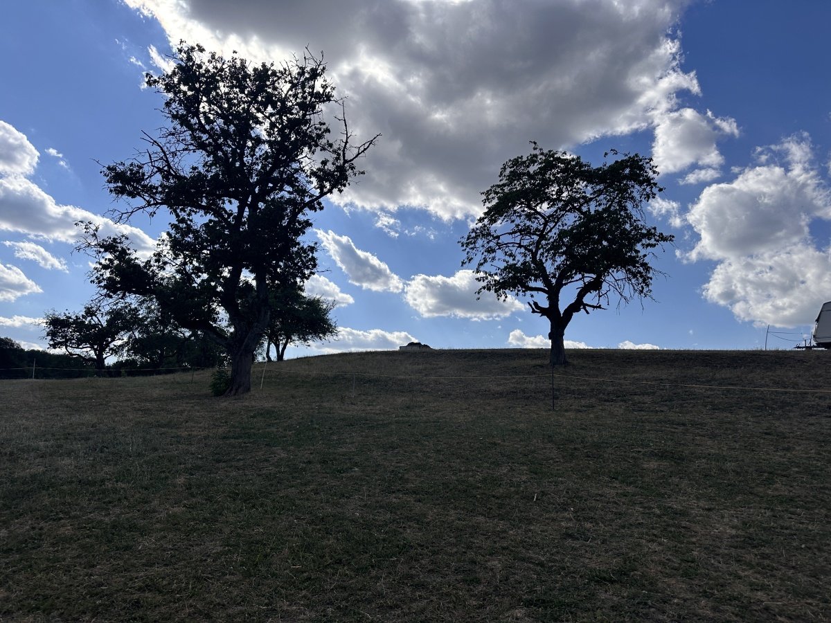 IMG_7853.jpeg
