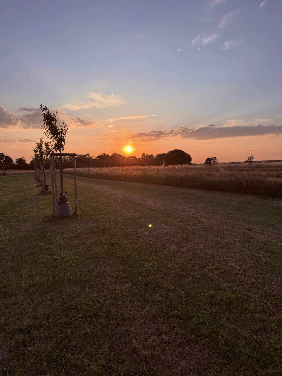 IMG_4299.jpeg