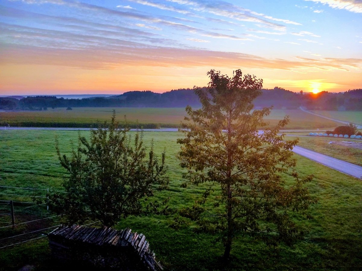 IMG_20200915_070126660_HDR.jpg