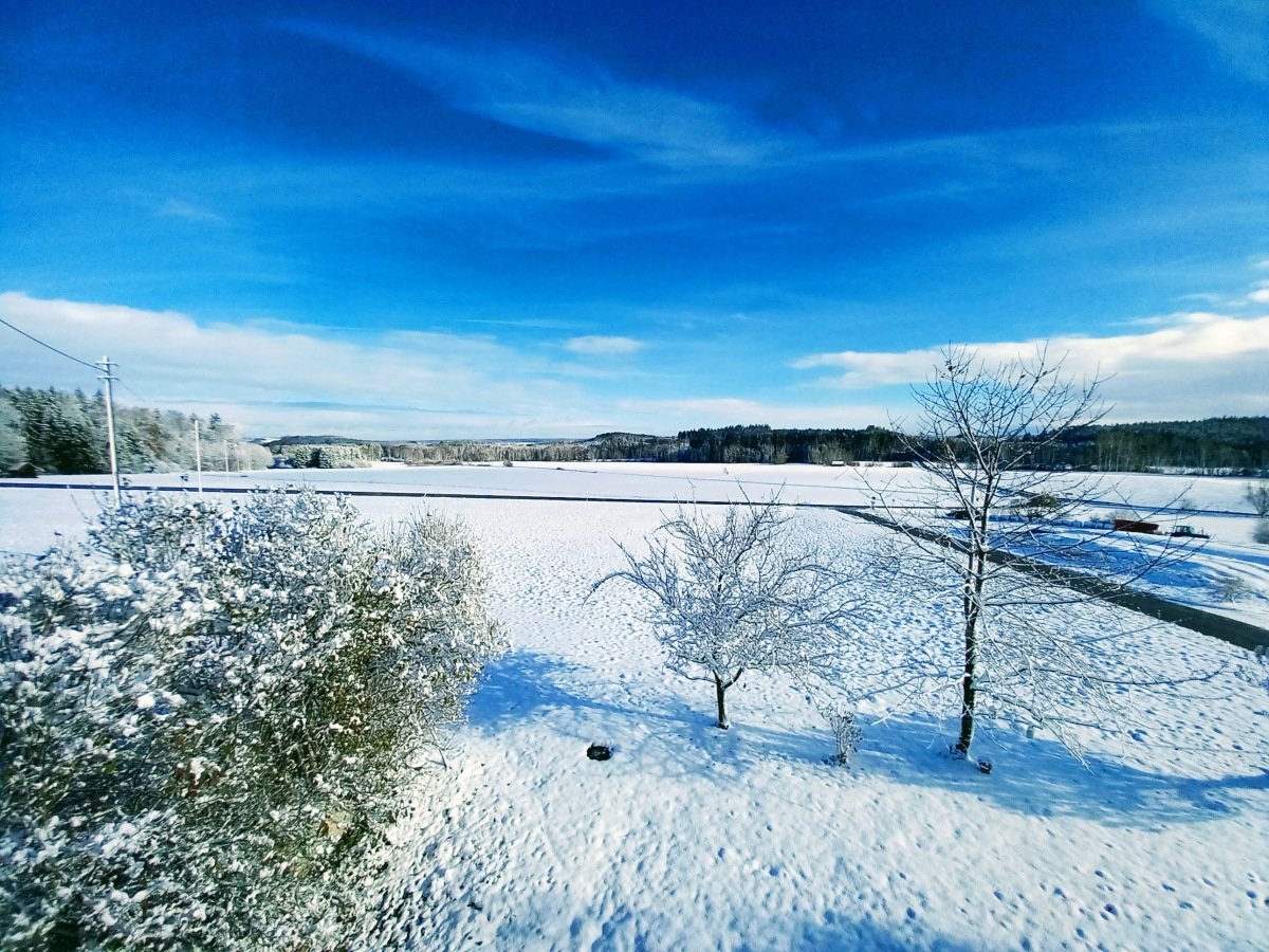 20231126_103151.jpg