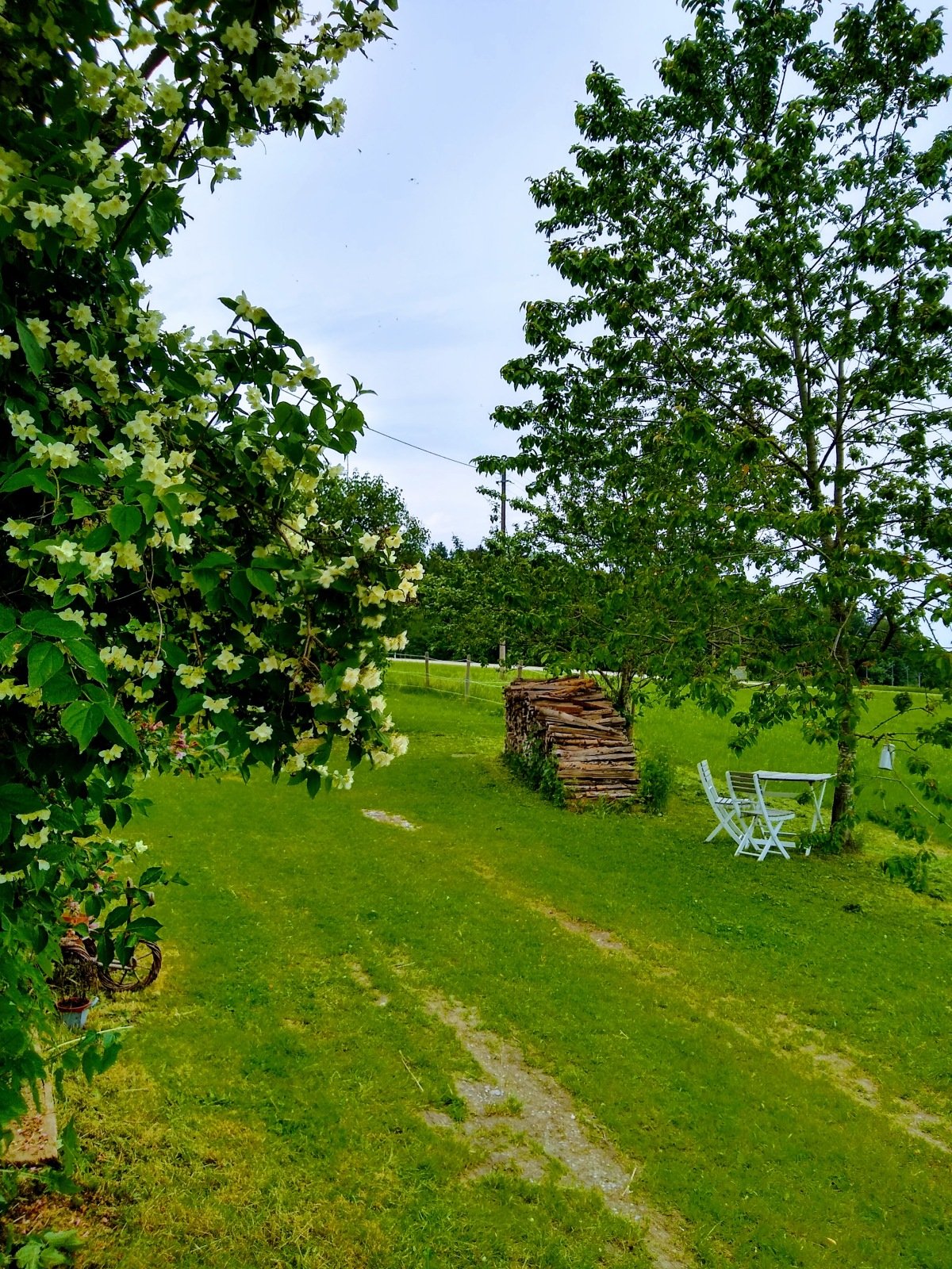 IMG_20220603_145105210_HDR.jpg