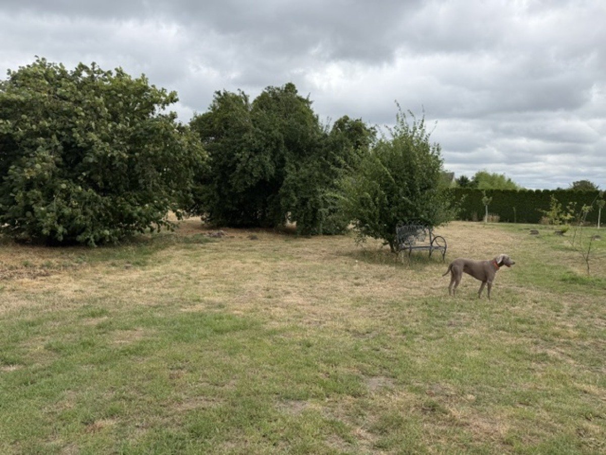 Blick zum Garten 