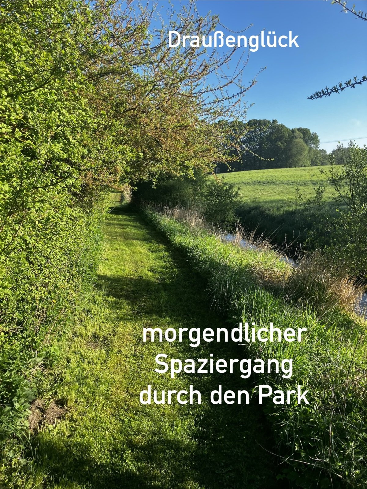 IMG_6998.jpeg