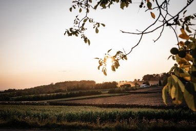 Nur 50 Meter vom Stellplatz entfernt finden Sie diesen athmosphärischen Aussichtspunkt für tolle Sonnenuntergänge