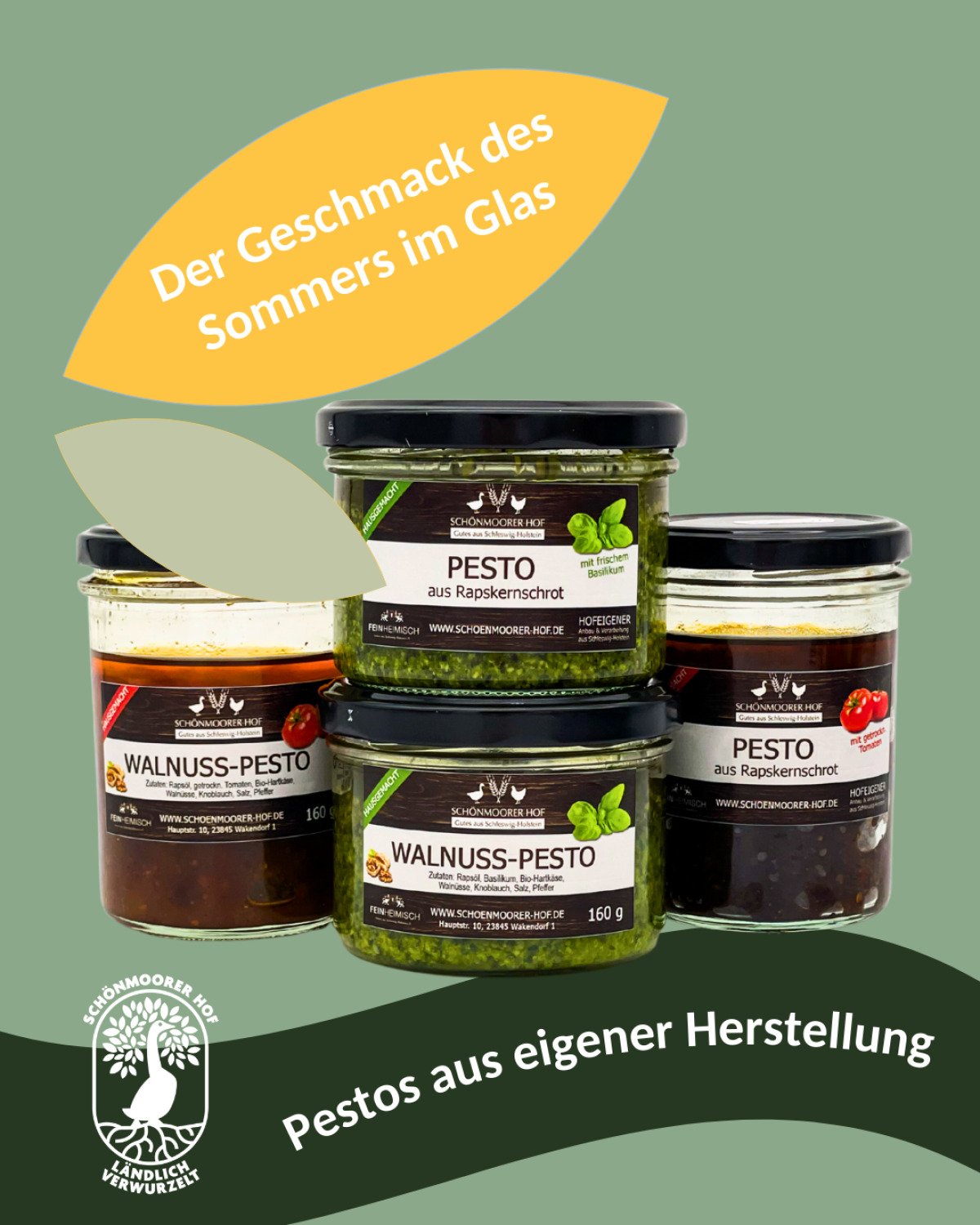 Postings Verwurzelt-3.png