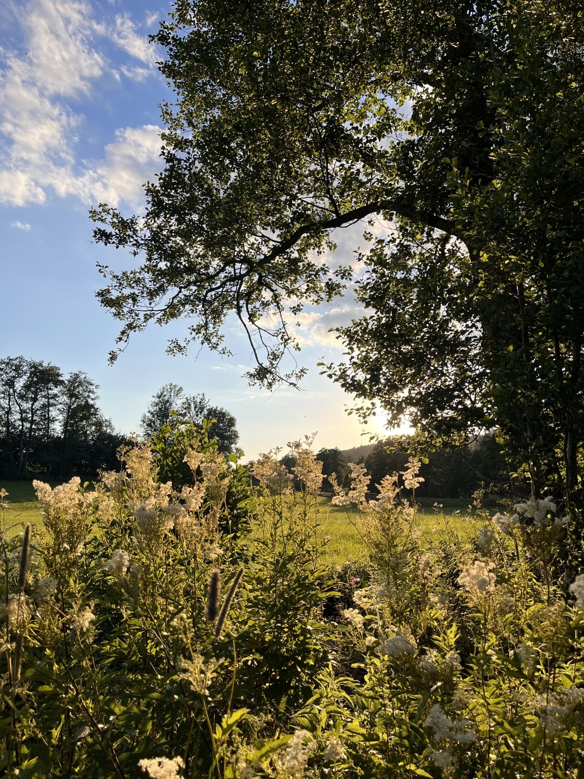 IMG_0627.jpeg