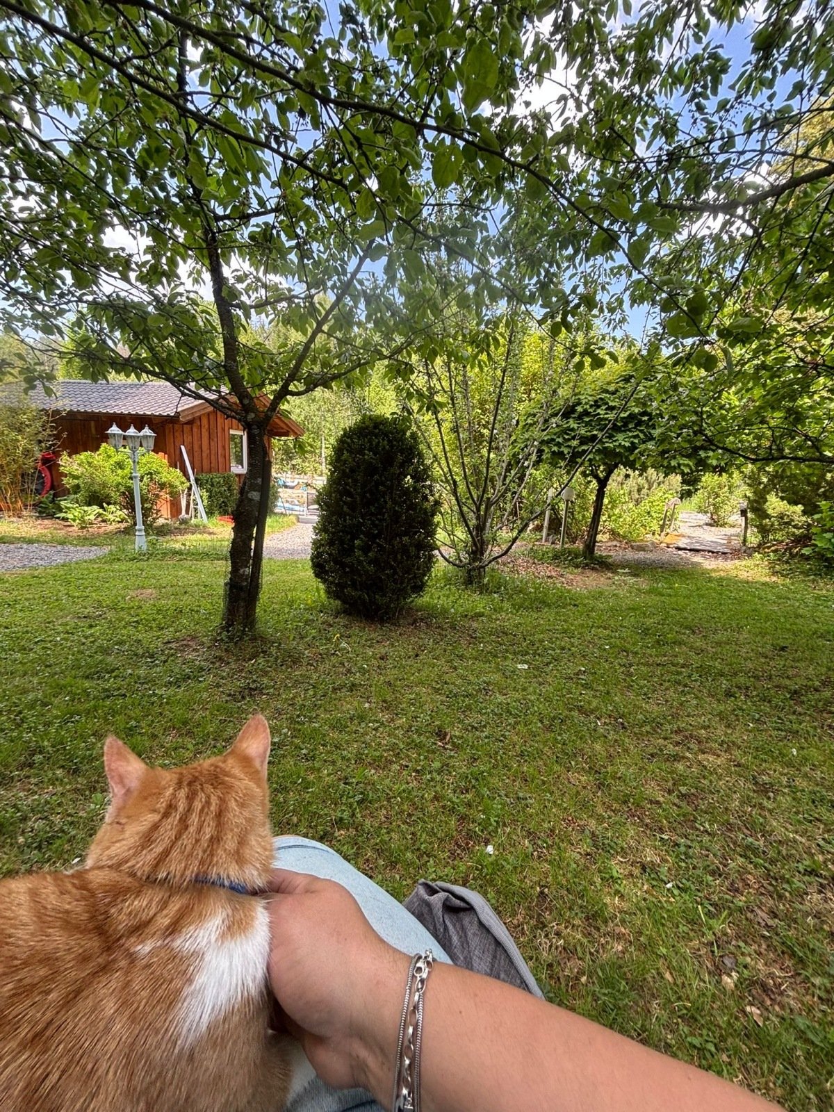5F7A4569-5048-4F0D-BB5D-437AD0C528DF.jpeg