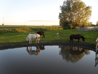 Blick über die Ranch