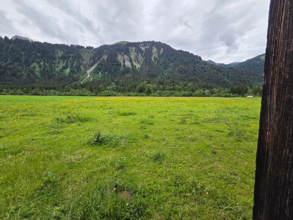 Aussicht vom Stellplatz