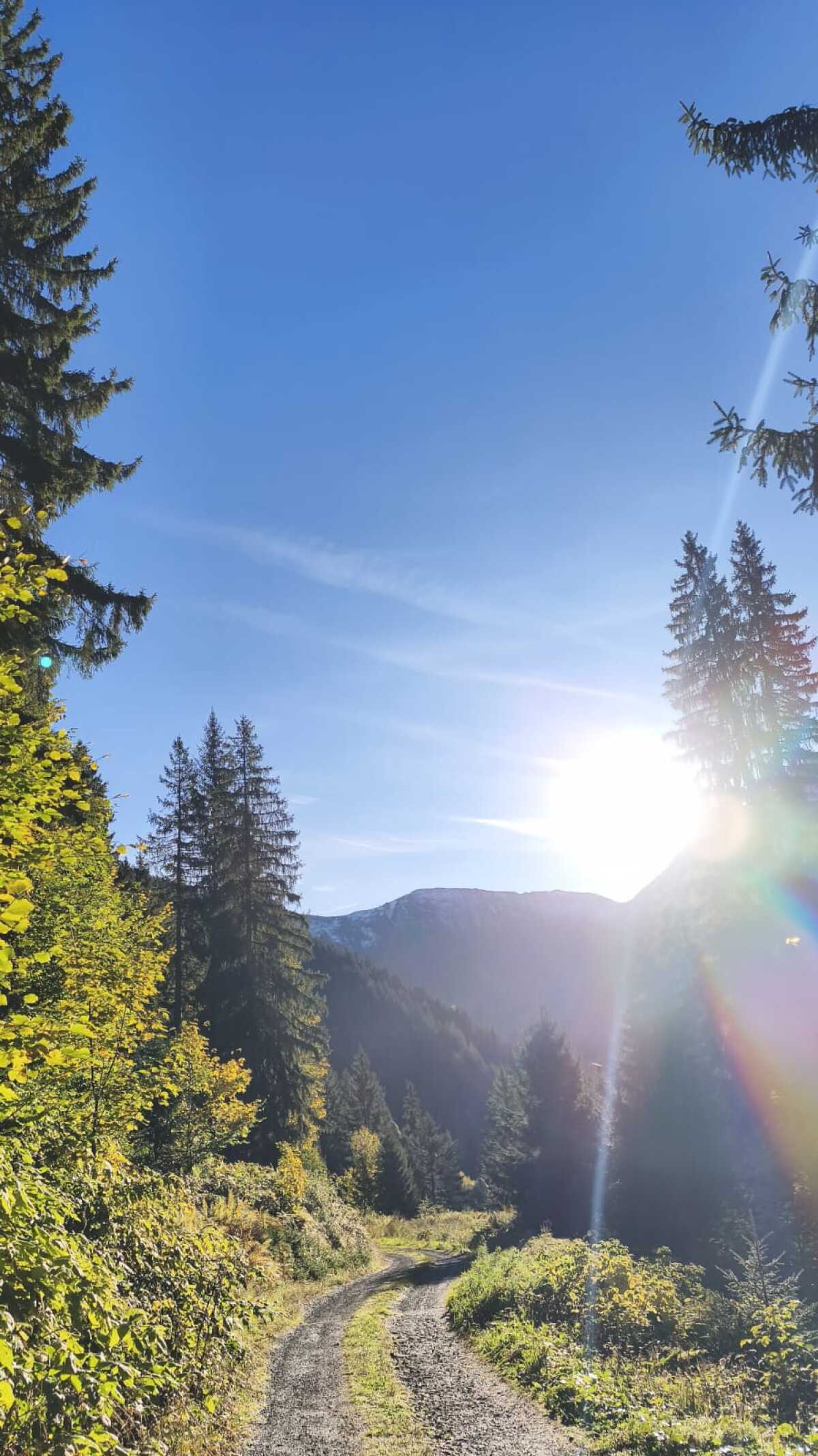 Wandern in Schoppernau